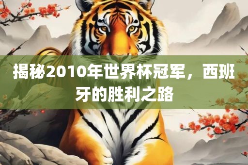 揭秘2010年世界杯冠军，西班牙的胜利之路