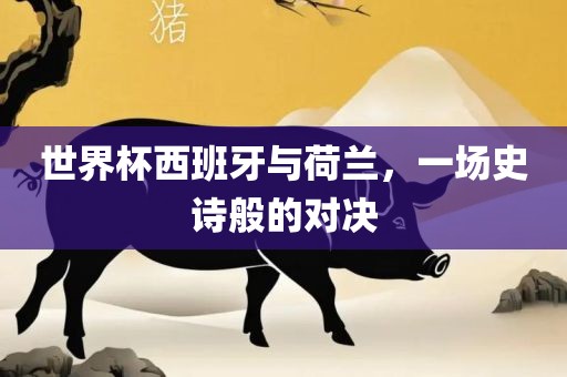 世界杯西班牙与荷兰，一洛阳市法福文化传播有限公司场史诗般的对决