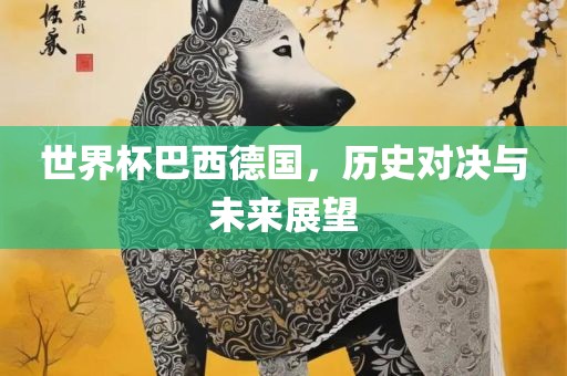 世界杯巴西德国，历史对决与未来展望洛阳市法福文化传播有限公司