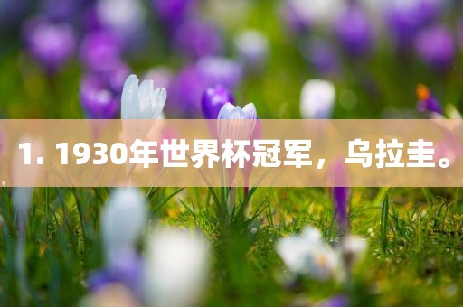 1. 1930年世界杯冠军，乌拉圭。