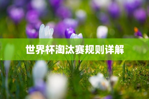 世界杯淘汰赛规则详解
