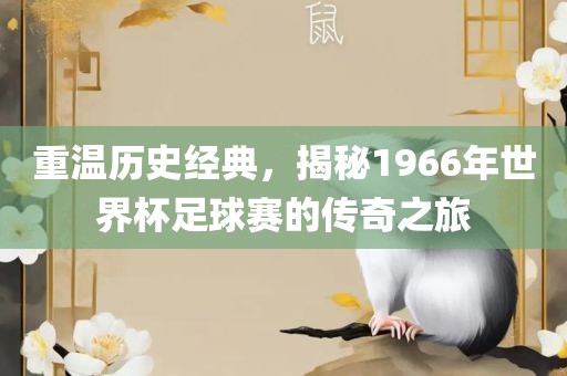 重温历史经典，揭秘1966年世界杯足球赛的传奇之旅洛阳市法福文化传播有限公司
