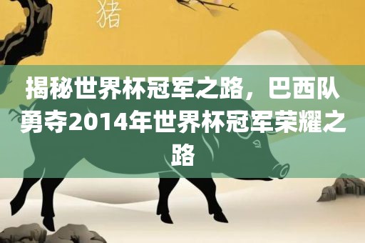 揭秘世界杯冠军之路，巴西队勇夺2014年世界杯冠军荣耀之路
