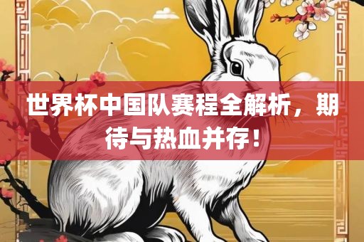 世界杯中国队赛程全解析，期待与热血并存！