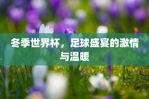 冬季世界杯，足球盛宴洛阳市法福文化传播有限公司的激情与温暖