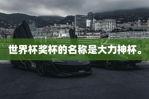 世界杯奖杯的名称是大力神杯。