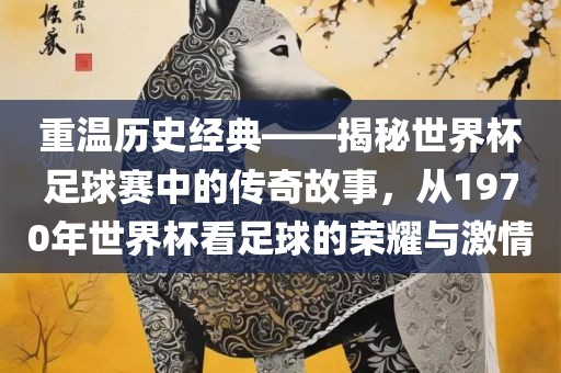 重温历史经典——揭秘世界杯足球赛中的传奇故事，从1970年世界杯看足球的荣耀与激情洛阳市法福文化传播有限公司