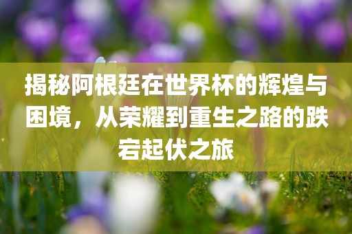 揭秘阿根廷在世界杯的辉煌与困境，从荣耀到重生之路的跌宕起伏之旅洛阳市法福文化传播有限公司