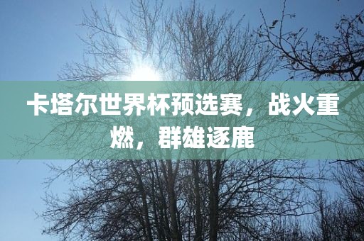 卡塔尔世界杯预选赛，战火重燃，群雄逐鹿洛阳市法福文化传播有限公司