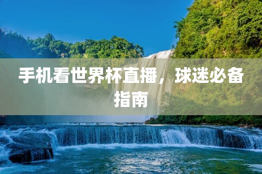 手机看世界杯直播，球迷必备指南洛阳市法福文化传播有限公司