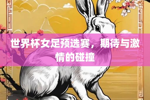 世界杯女足预选赛，期待与激情的碰撞洛阳市法福文化传播有限公司