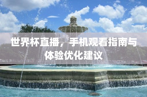 世界杯直播，手机观看指南与体验优化建议洛阳市法福文化传播有限公司