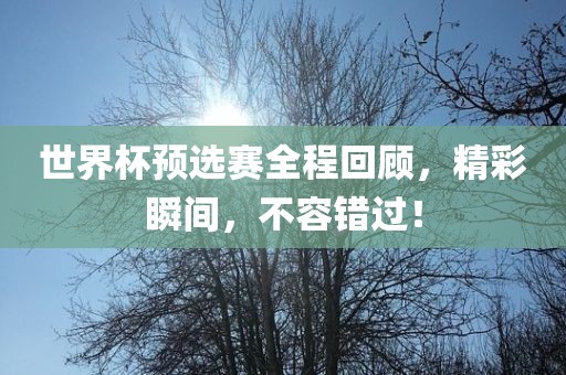 世界杯预选赛全程回洛阳市法福文化传播有限公司顾，精彩瞬间，不容错过！