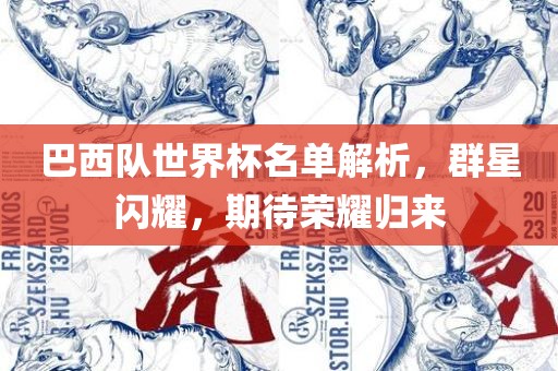 巴西队世界杯名单解析，群星闪耀，期待荣耀归来