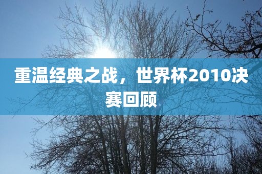 重温经典之战，世界杯2010决赛回顾洛阳市法福文化传播有限公司