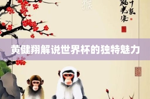 黄健翔解说世界杯的独特魅力