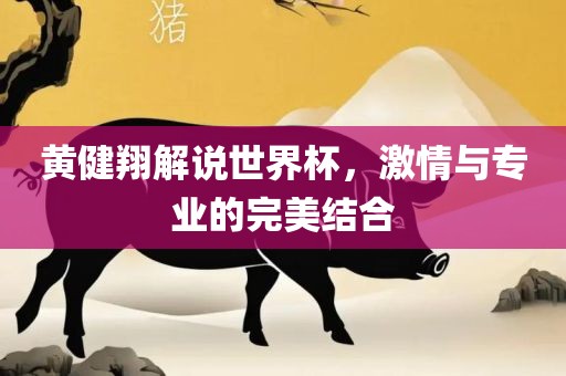 黄健翔解说世界杯，激情与专业的完美结合洛阳市法福文化传播有限公司