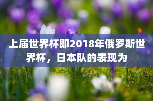 上届世界杯即2018年俄罗斯世界杯，日本队的表现为