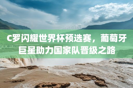C罗闪耀世界杯预选赛，葡萄牙巨星助力国家队晋级之路