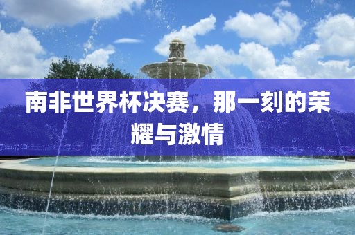 南非世界杯决赛，那一刻的荣耀与激情洛阳市法福文化传播有限公司