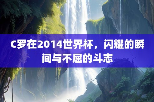 C罗在2014世界杯，闪耀的瞬间与不屈的斗志洛阳市法福文化传播有限公司