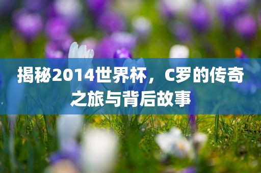 揭秘2014世界杯，C罗的传奇之旅与背后故事
