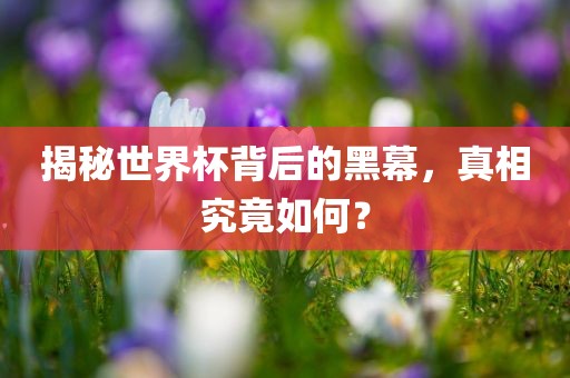 揭秘世界杯背后的黑幕，真相究竟如何？
