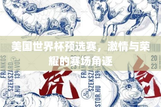 美国世界杯预选赛，激情与荣耀的赛场角逐