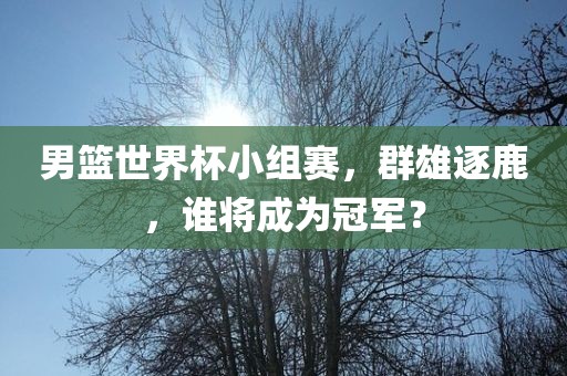 男篮世界杯小组赛，群雄逐鹿，谁将成为冠军？