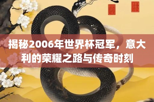 揭秘2006年世界杯冠军，意大利的荣耀之路与传奇时刻