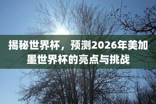 揭秘世界杯，预测2026年美加墨世界杯的亮点与挑战洛阳市法福文化传播有限公司