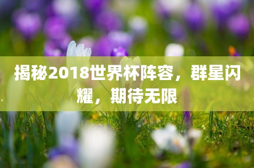 揭秘2018世界杯阵容，群星闪耀，期待无限