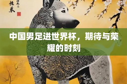 中国男足进世界杯，期待与荣耀的时刻洛阳市法福文化传播有限公司