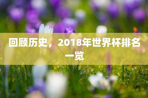回顾历史，2018年世界杯排名一览