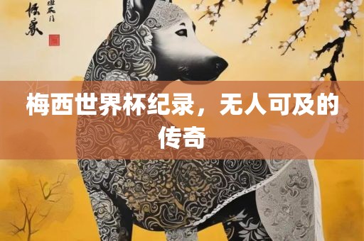 梅西世界杯纪录，无人可及的传奇洛阳市法福文化传播有限公司