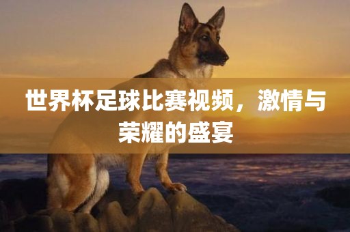世界杯足球比赛视频，激情与荣耀的盛宴