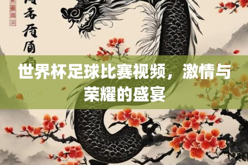 世界杯足球比赛视频，激情与荣耀的盛宴