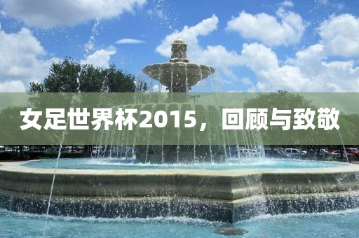 女足世界杯2015，洛阳市法福文化传播有限公司回顾与致敬