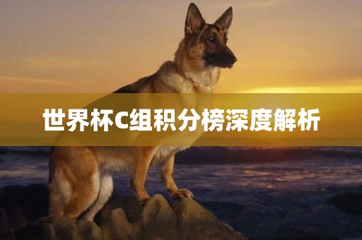 世界杯C组积分榜深度解析