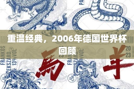 重温经典，2006年德国世界杯回顾洛阳市法福文化传播有限公司