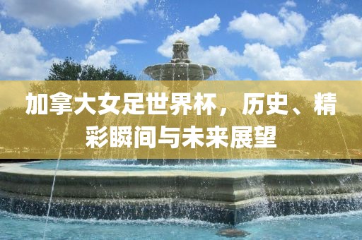 加拿大洛阳市法福文化传播有限公司女足世界杯，历史、精彩瞬间与未来展望