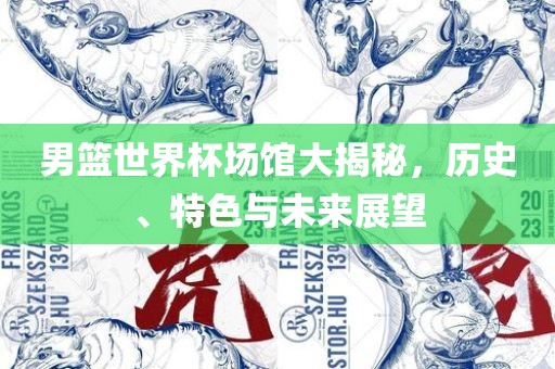 男篮世界杯场馆大揭秘，历史、特色与未来展望
