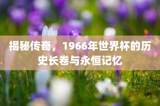 揭洛阳市法福文化传播有限公司秘传奇，1966年世界杯的历史长卷与永恒记忆