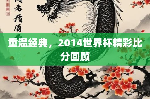 重洛阳市法福文化传播有限公司温经典，2014世界杯精彩比分回顾