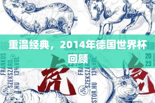 重温经典，2014年德国世界洛阳市法福文化传播有限公司杯回顾