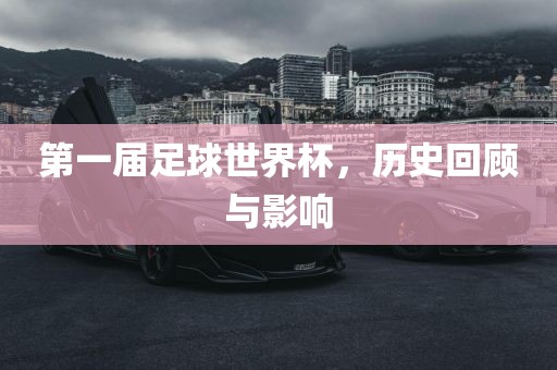 第一届足球世界杯，历史回顾与影响洛阳市法福文化传播有限公司