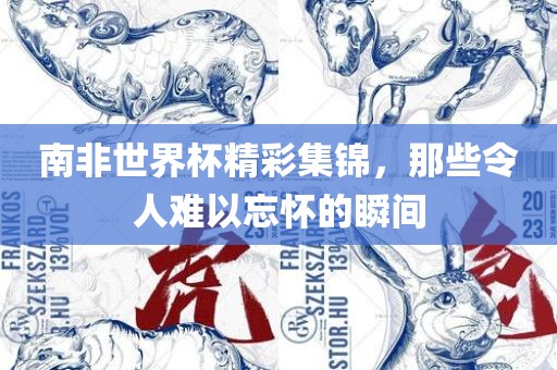 南非世界杯精彩集锦，那些令人难以忘怀的瞬间洛阳市法福文化传播有限公司