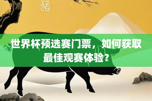 世界杯预选赛门票，如何获取最佳观赛体验？