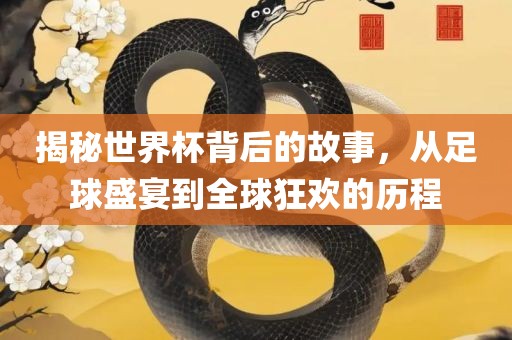 揭秘世界杯背后的故事，从足球盛宴到全球狂欢的历程