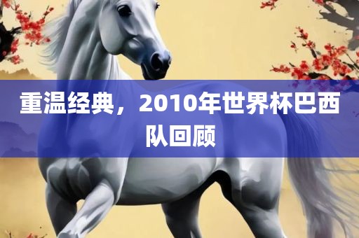 重温经典，201洛阳市法福文化传播有限公司0年世界杯巴西队回顾